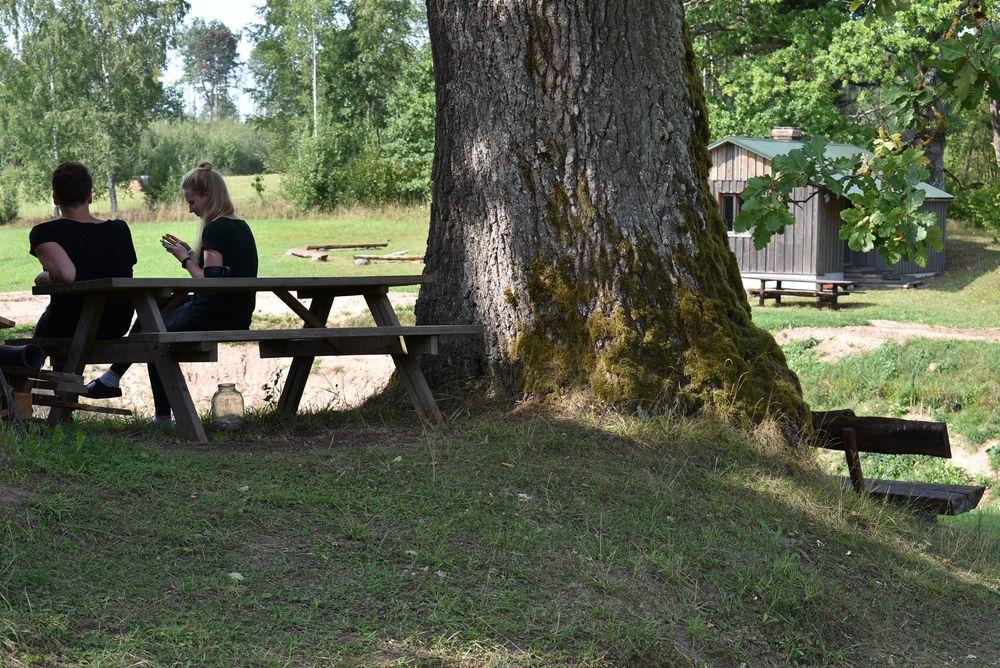 “Annvil” darbinieku komandas sadarbības un attīstības programma