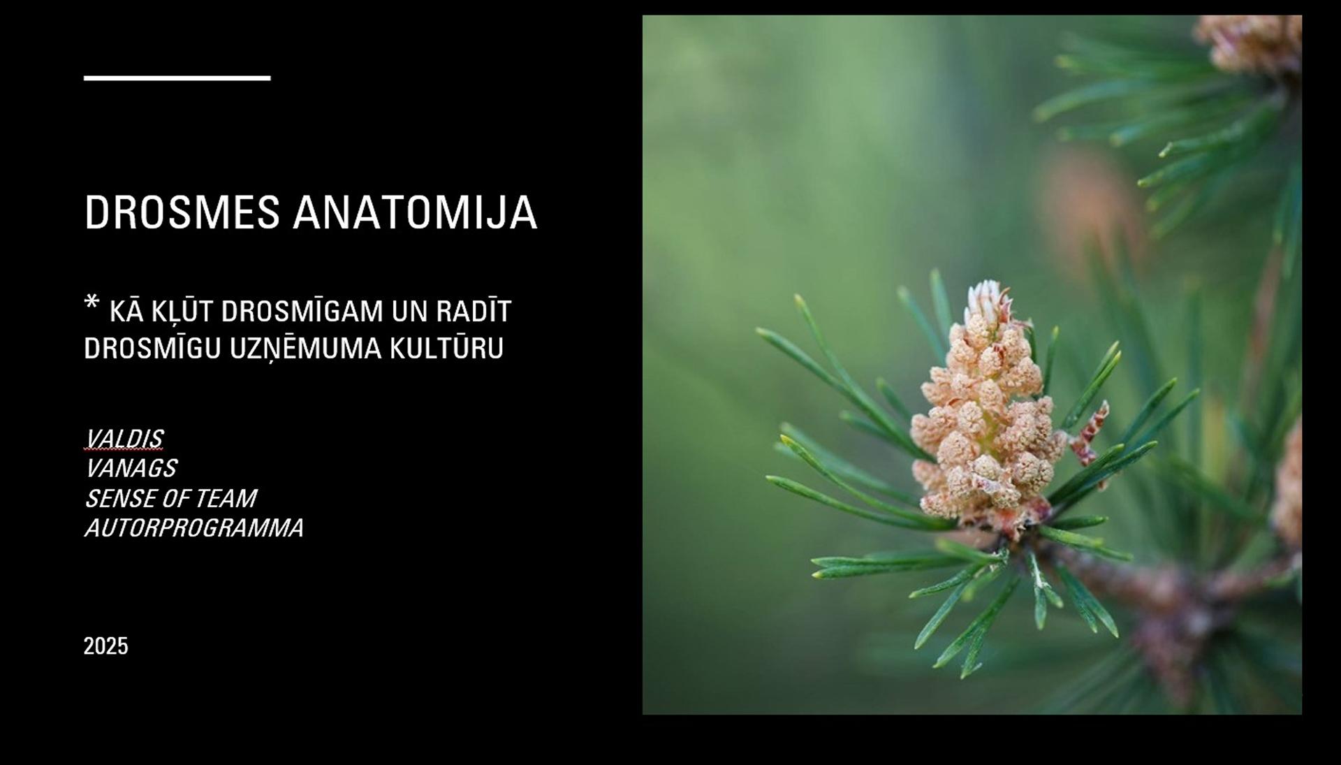 Drosmes anatomijas meistarklase